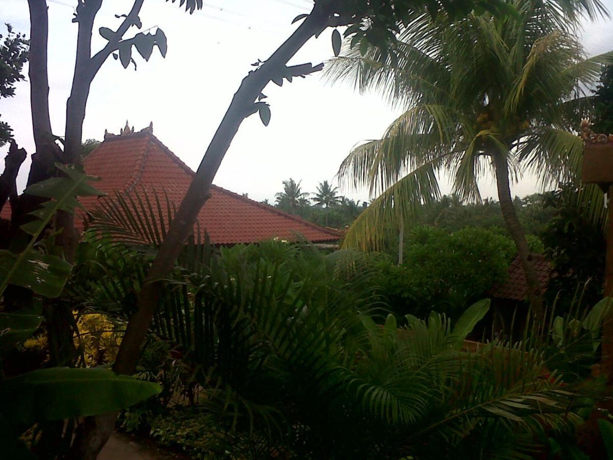 Eliska Sari Bungalows Sumberkima Pemuteran Buitenkant foto