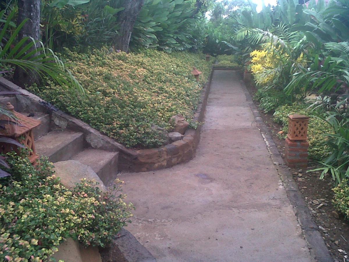 Eliska Sari Bungalows Sumberkima Pemuteran Buitenkant foto
