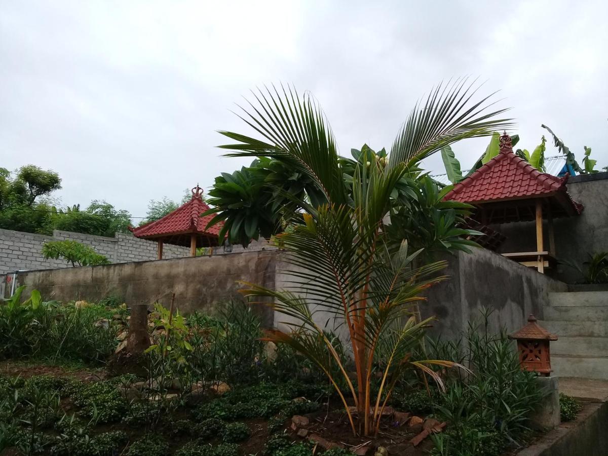 Eliska Sari Bungalows Sumberkima Pemuteran Buitenkant foto