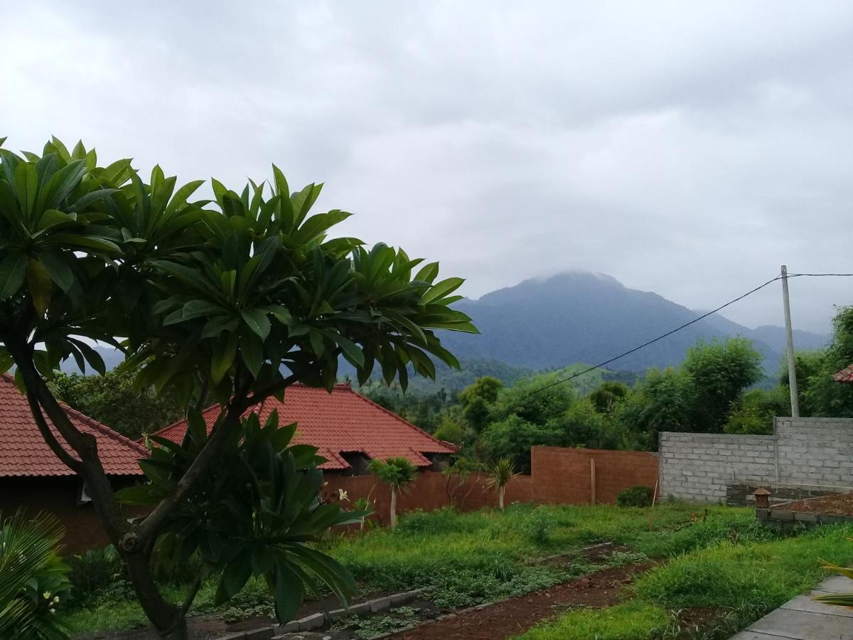 Eliska Sari Bungalows Sumberkima Pemuteran Buitenkant foto