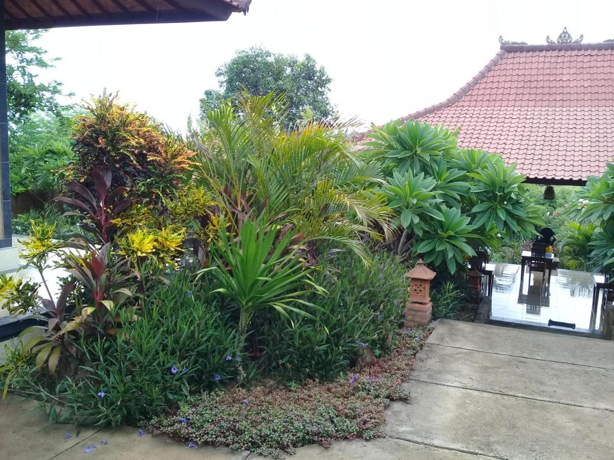 Eliska Sari Bungalows Sumberkima Pemuteran Buitenkant foto