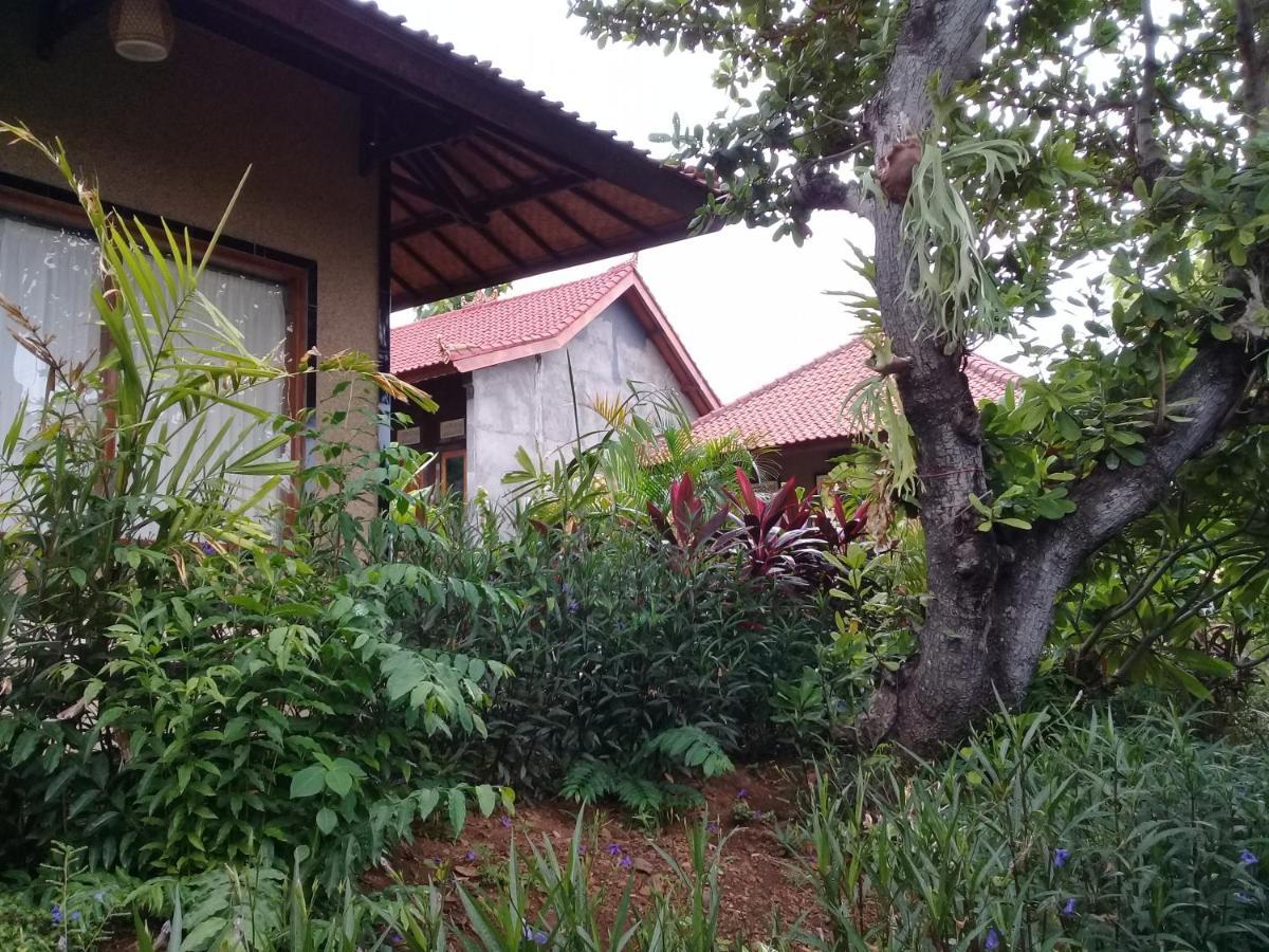 Eliska Sari Bungalows Sumberkima Pemuteran Buitenkant foto