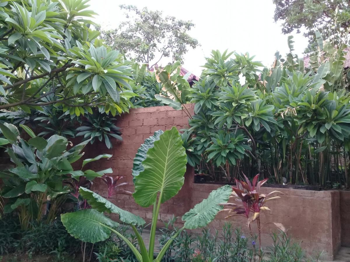 Eliska Sari Bungalows Sumberkima Pemuteran Buitenkant foto